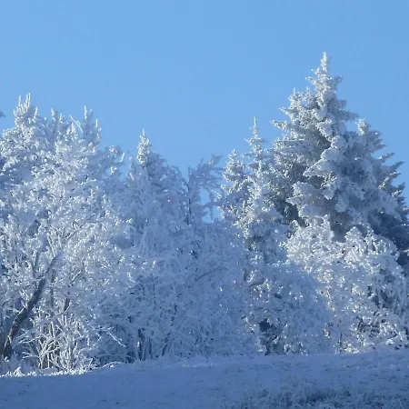 Apartman Cafe'rotter , Brigitte Und Juergen Rotter Schellerhau